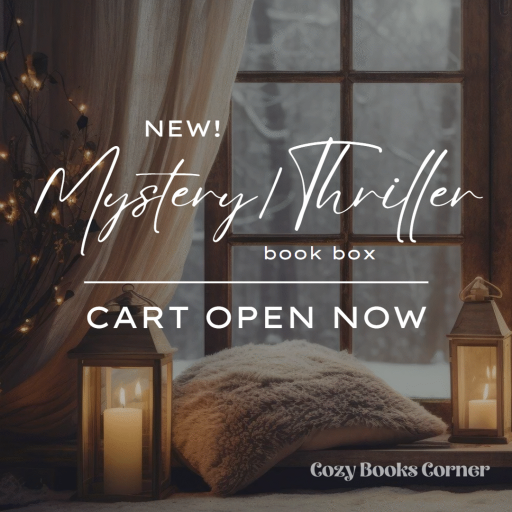 Window showing a wintery scene with a lantern in foreground promoting book box